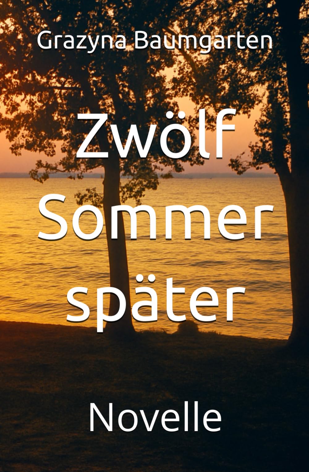 Zwölf Sommer später: Novelle