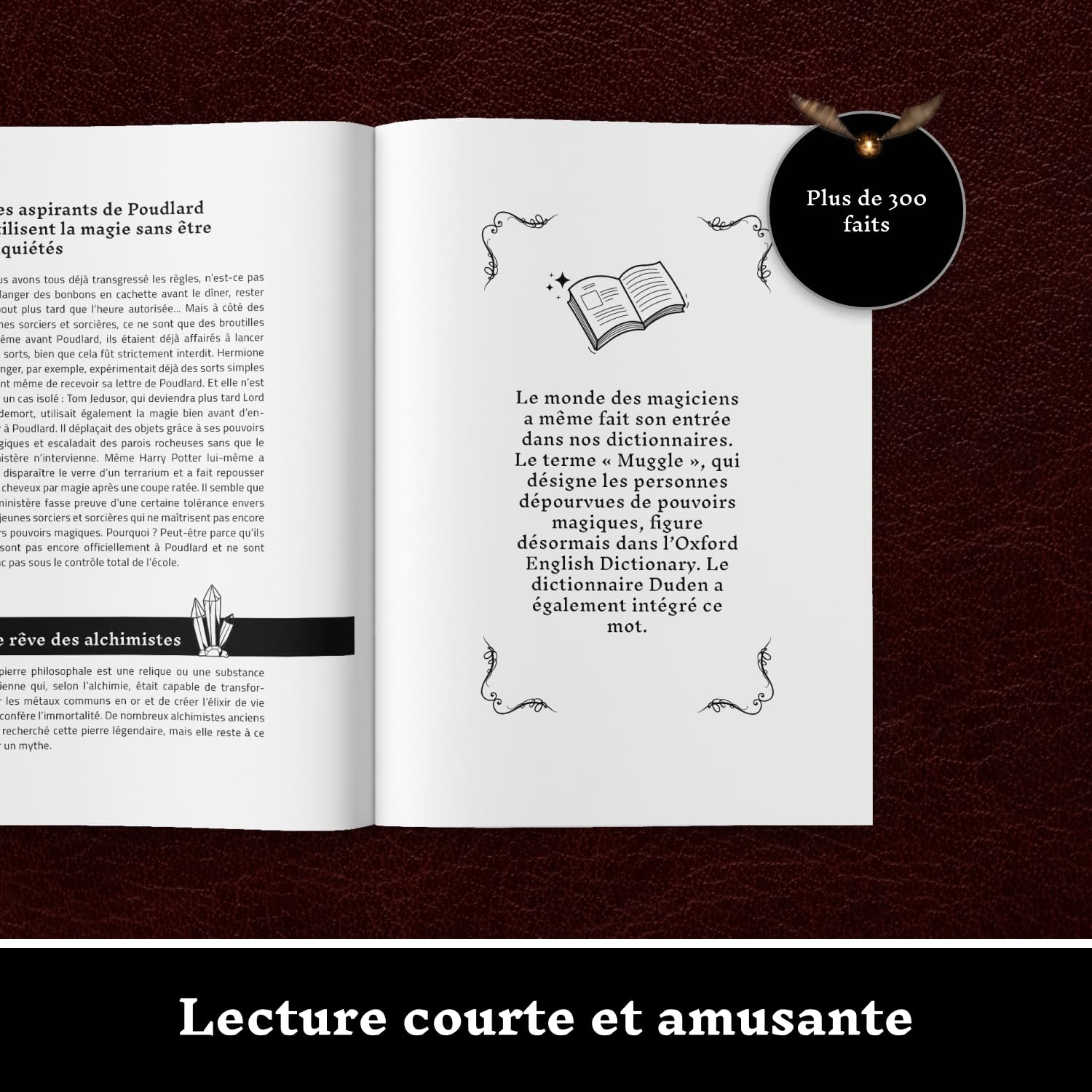 Faits incroyables pour les fans de Harry Potter – La collection non officielle : encyclopédie des connaissances secrètes sur le sorcier le plus célèbre