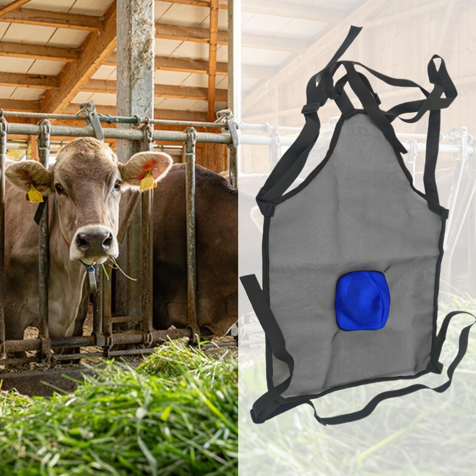 Generico Grembiule Per Capre | Grembiule Anti Riproduzione Per Capre,Attrezzatura Agricola, Strumento Per Evitare La Riproduzione Di Animali Da Compagnia Bovini Bestiame