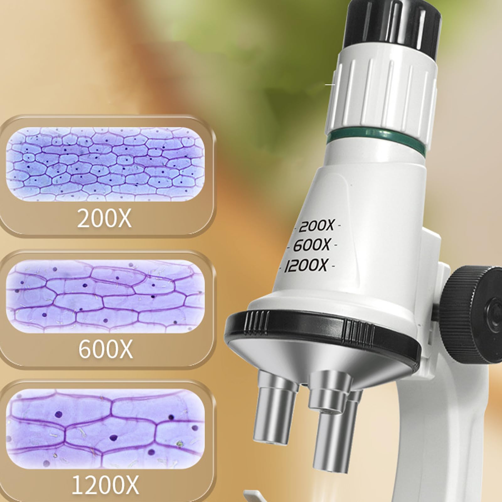 Set microscopio pratico per studenti scienziati migliora le capacità osservazione Regalo educativo sicuro Giocattolo per la scoperta scientifica dei bambini