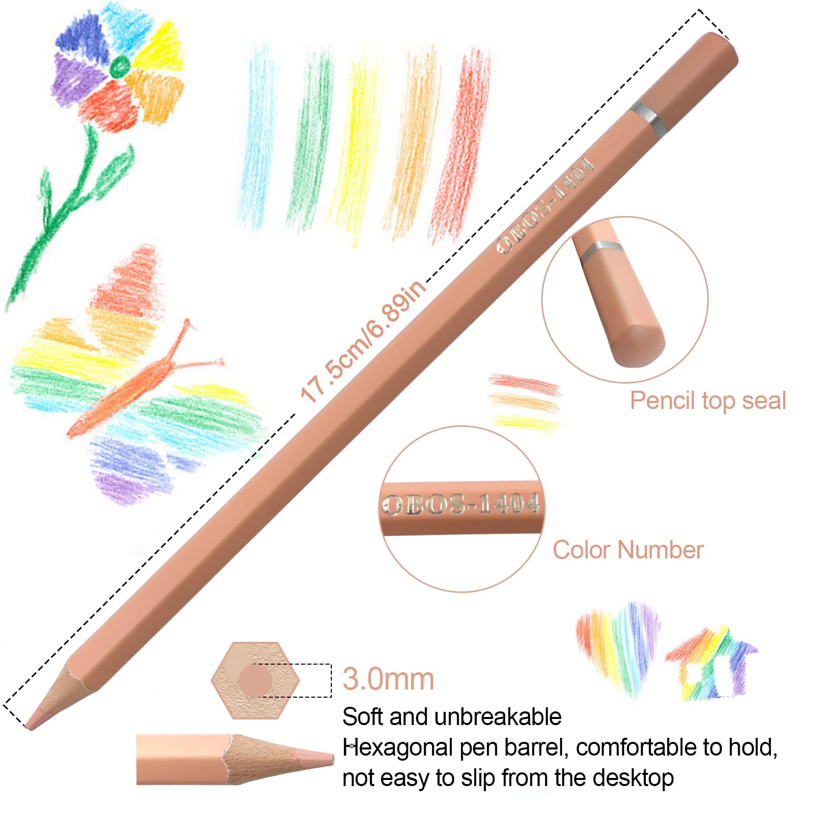 色鉛筆画　森のメロディー 色鉛筆画 森のメロディー