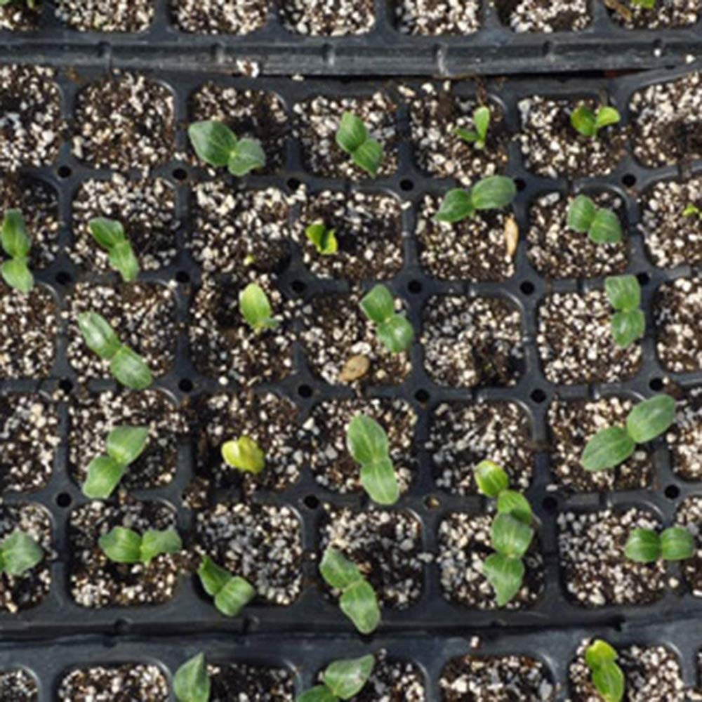 Amazon.co.jp: 10Pcs 32Holes / 50Holes / 128Holes苗ポットPP苗トレイ