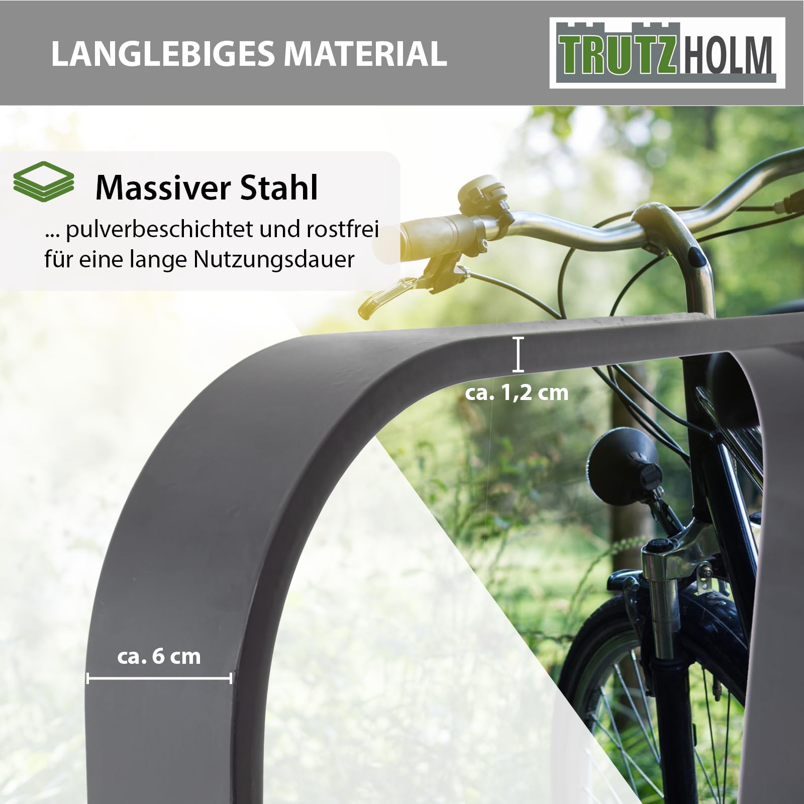 TRUTZHOLM Fahrradanlehnbügel 115x45 cm Einbetonieren Flachstahl Anthrazit
