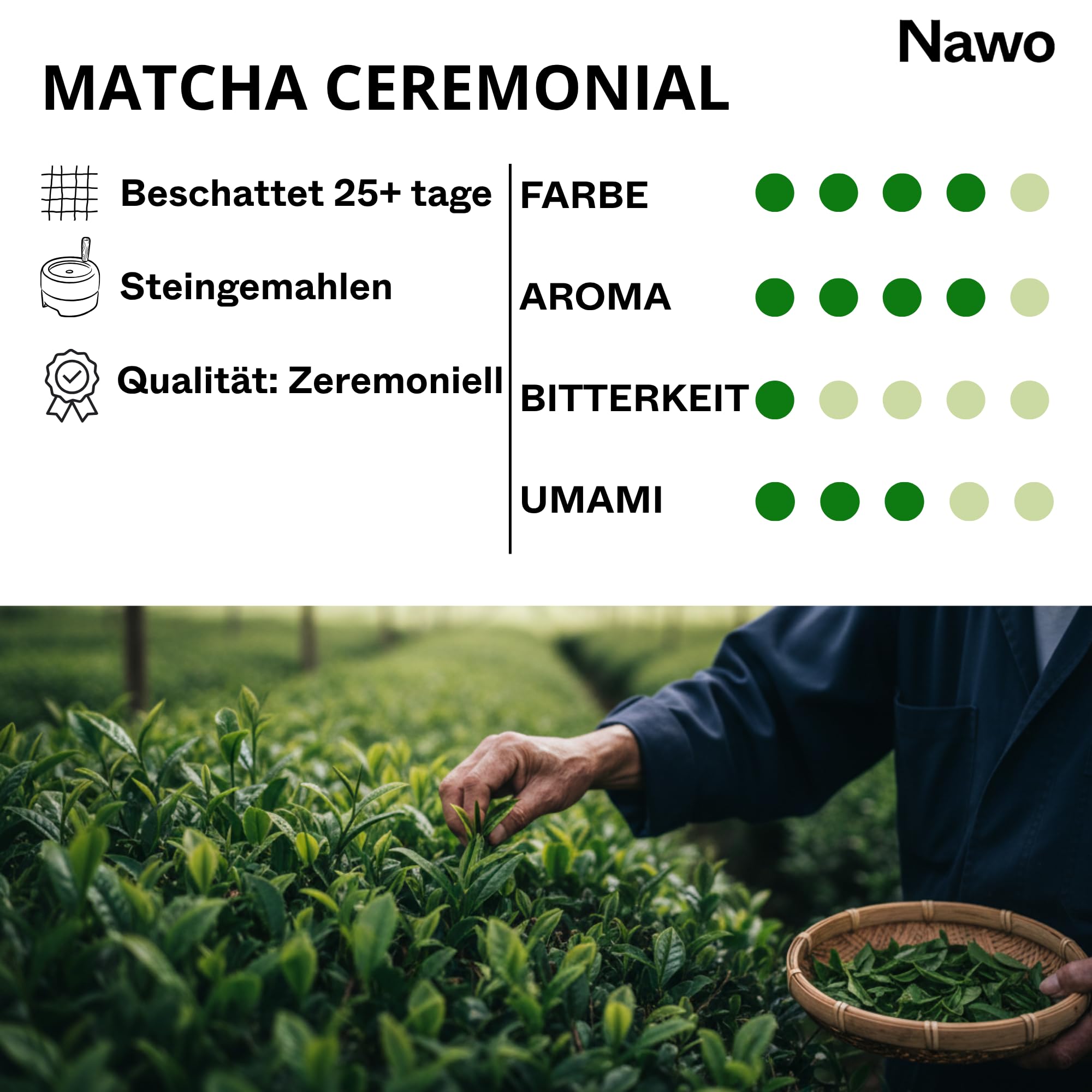 Ceremonial Barista Matcha 250g – Reines Matcha Pulver – Erste Ernte – Ohne Bittere – Latte, Gastronomie und professioneller Einsatz – Laborgeprüft – 100% Natürlich – Zuckerfrei – NAWO® Matcha