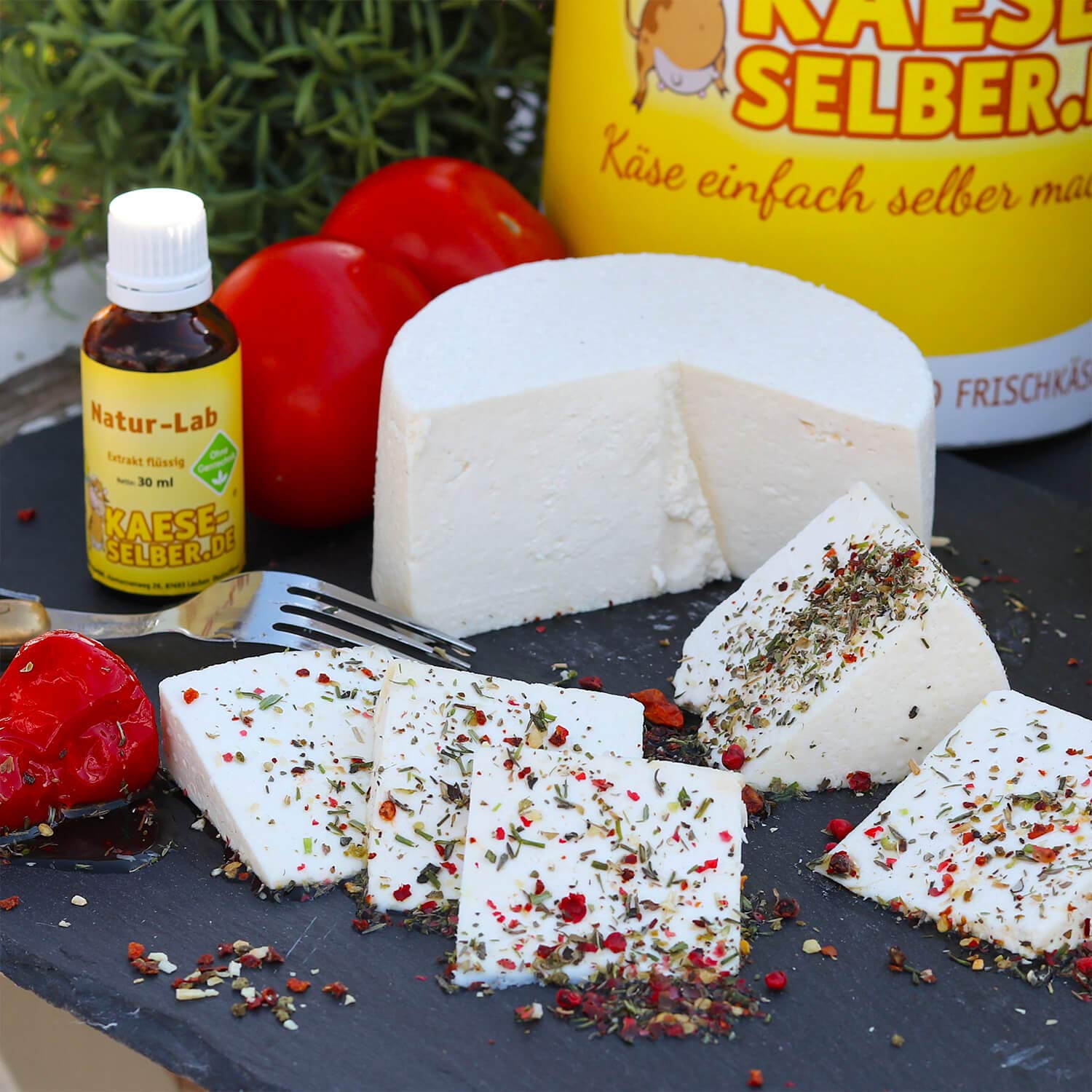 Käse selber machen - Starter Set inkl. Rezeptmagazin und Videoanleitungen (für Käse, Quark und Frischkäse); Traditionelle Käseherstellung