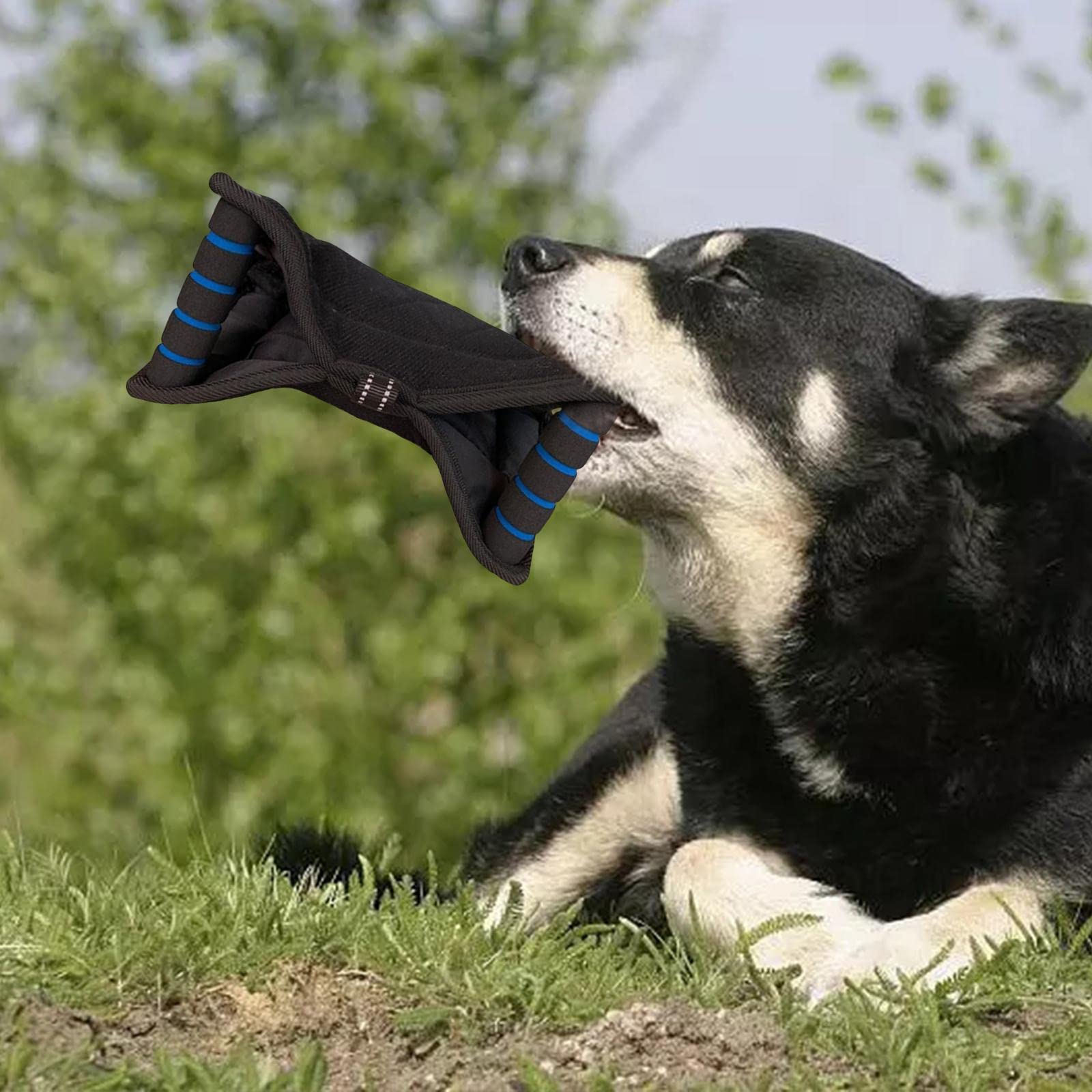 Manga de Entrenamiento para Mascotas con Cojín de Yute Mordedor Asa Ergonómica Y Material Resistente Protección Eficaz Durante El Entrenamiento Adecua