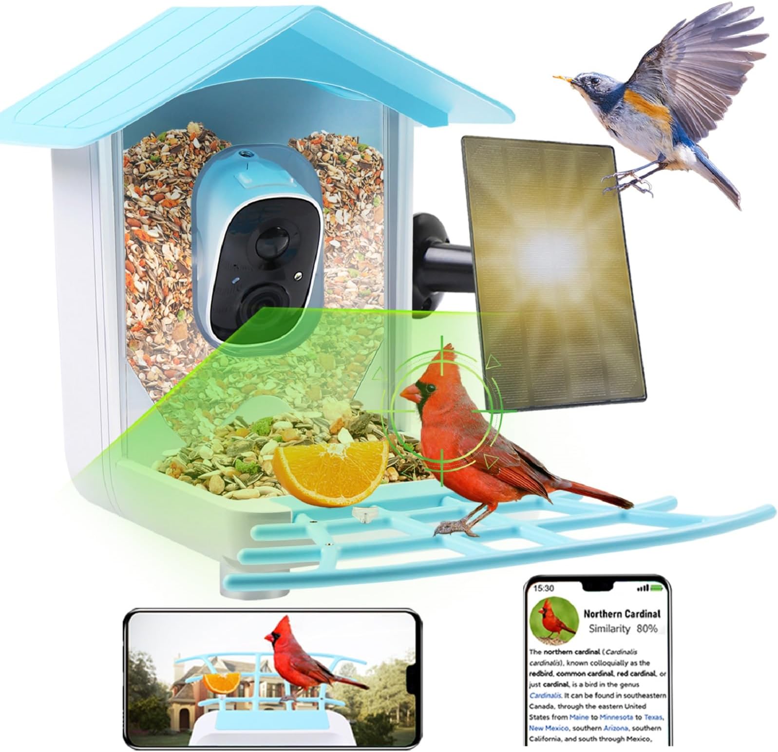 ANRIS Mangeoire Oiseaux,Caméra Mangeoires Oiseau Exterieur Batterie,Camera WiFi sans Fil avec