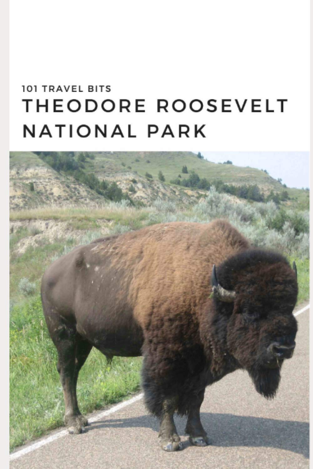 101 Travel Bits: Theodore Roosevelt National Park