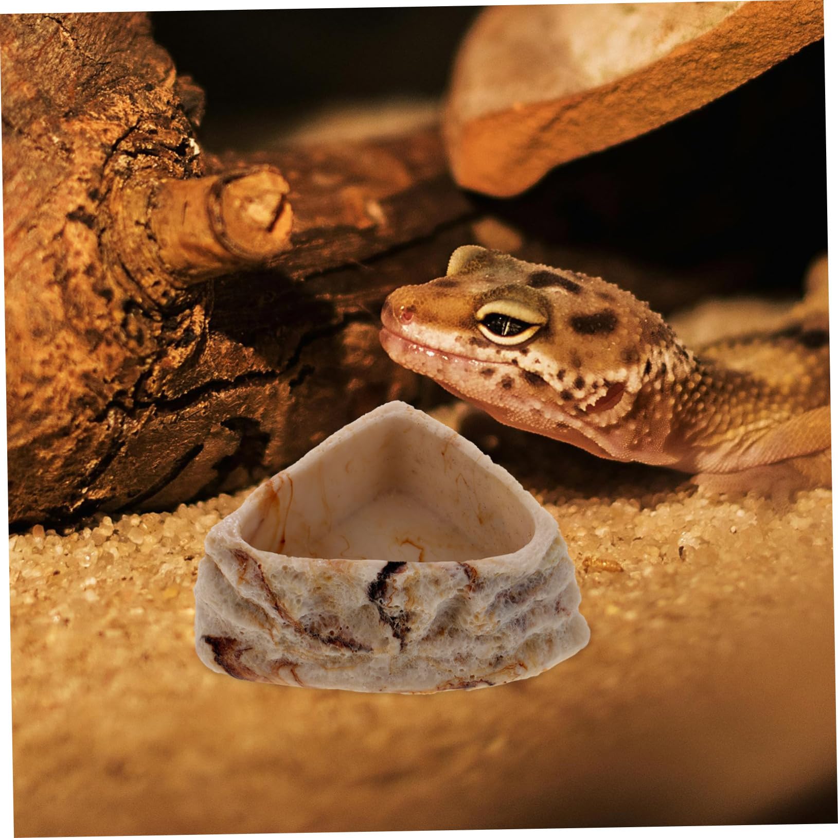 BESPORTBLE 4piezas Tazón De Comida y Agua para Reptiles Plato De Alimentación Antideslizante para Tortugas Comedero De Diseño De Roca para y para y Comer