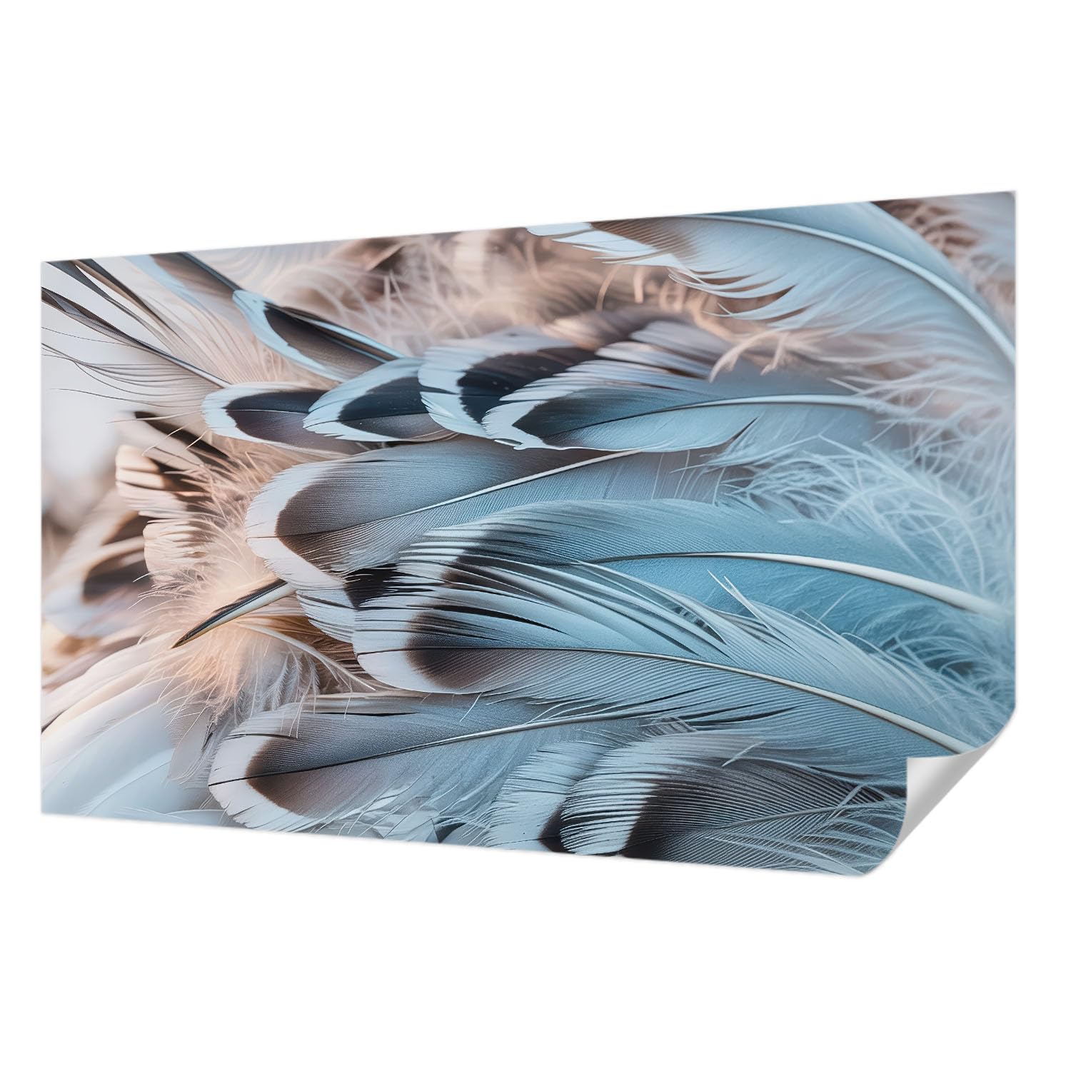 Papier peint panoramique plumes bleues Tulup 416x254 cm pour salon