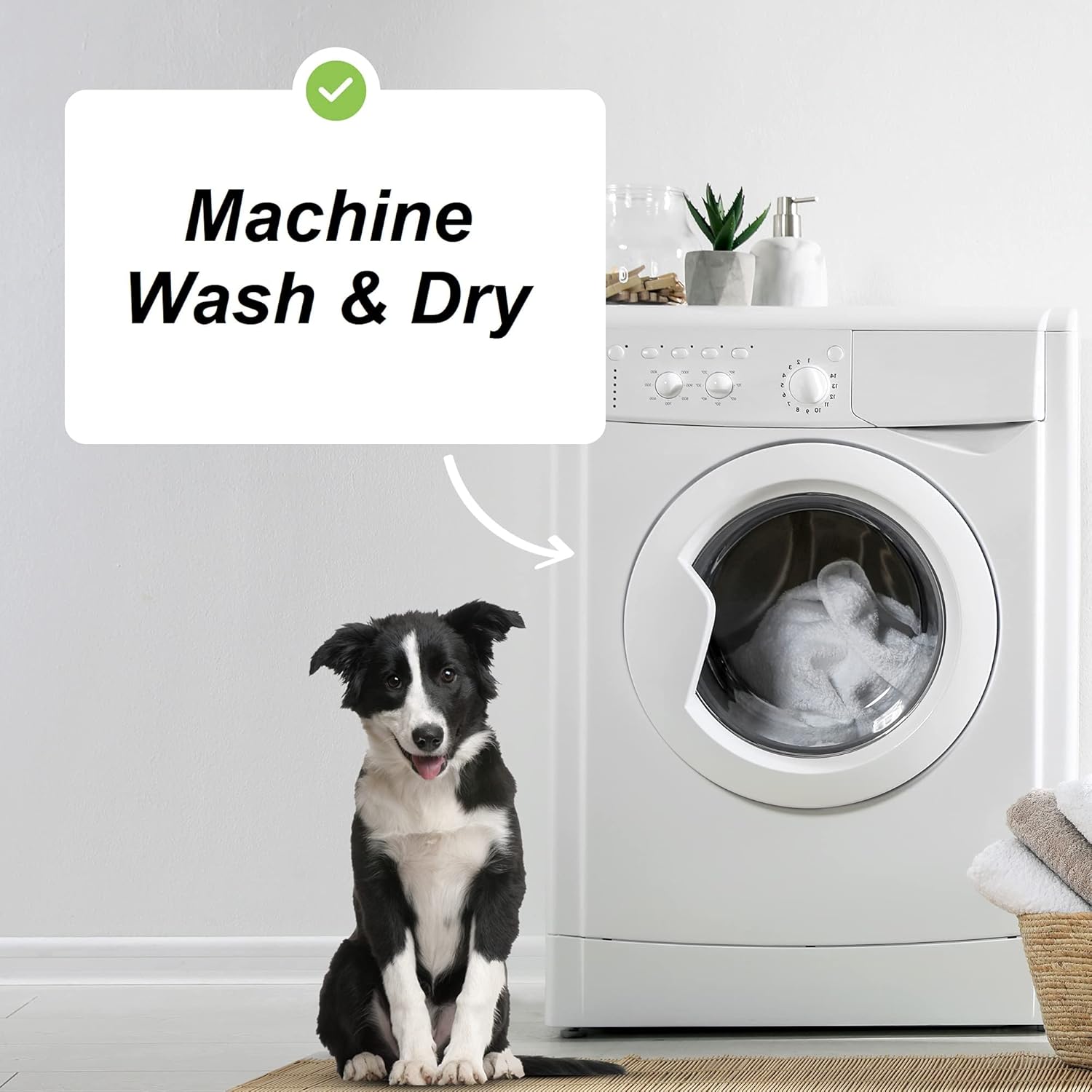 Can I Wash My Dogs Blanket at Charles Ferri blog