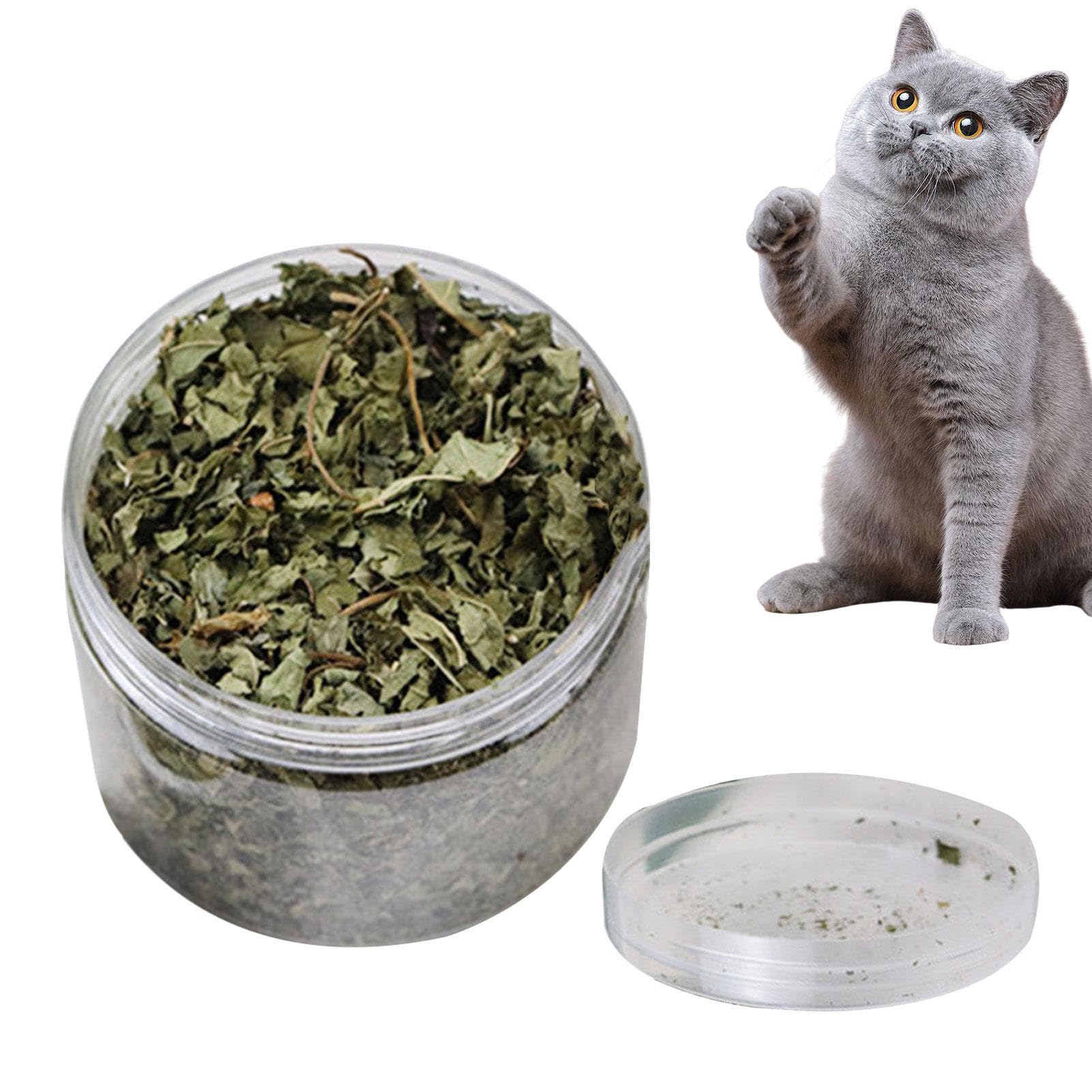 Katzenminze lose - 40g echte natürliche Katzenminze | Echte natürliche Blätter Katzenminze, Gesunde Katzensnacks zur Zahnreinigung, Haarentfernung, Mundgesundheit und Stimmungsregulierung