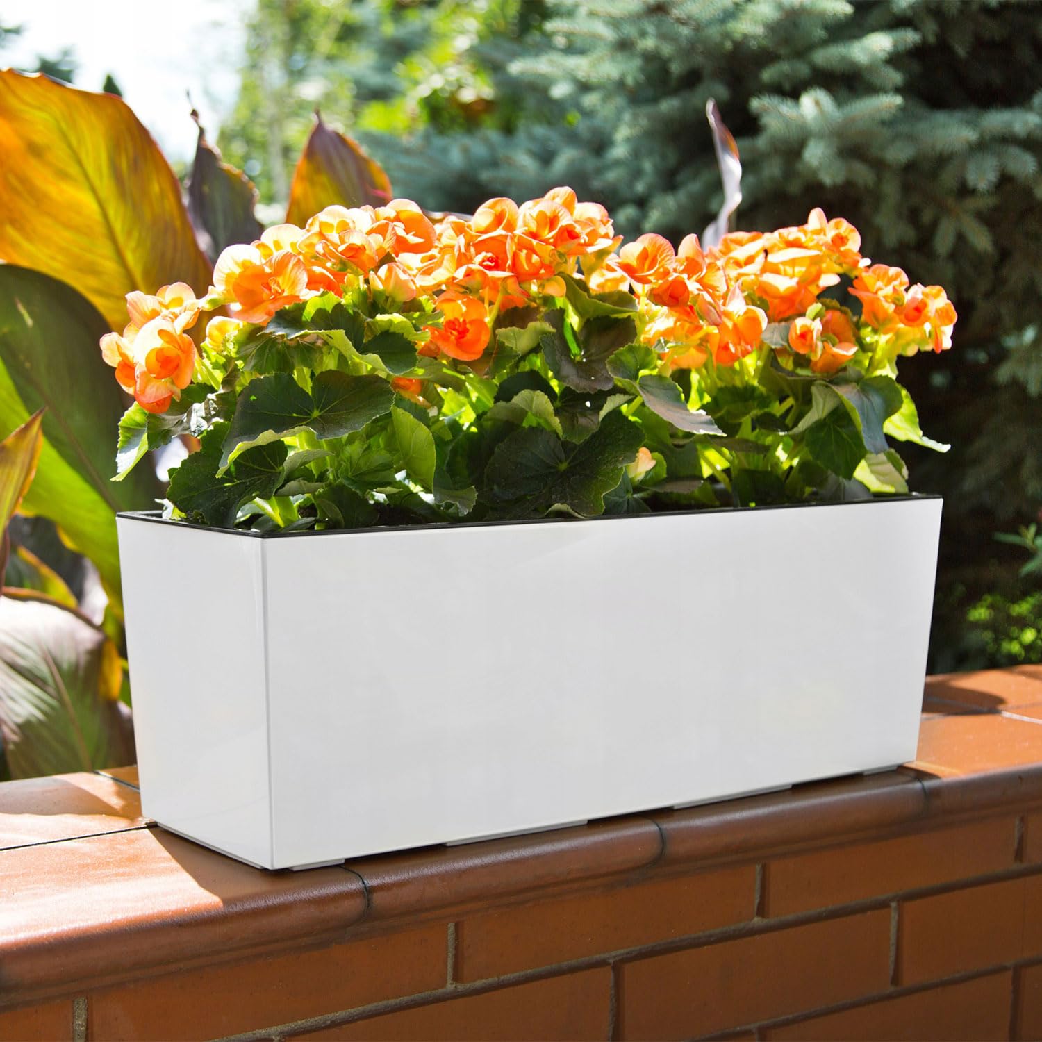 IMJ-Global Vaso per Fiori Piante Rettangolare Urbi Case In Plastica 77x23,5x24,6cm Da Interno Esterno Bianco 40 Litri Design Moderno