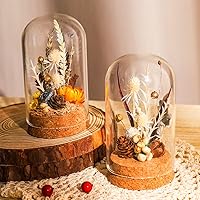 Vista 7 de BENECREAT 10 frascos de vidrio con tapones de corcho, cubierta de cúpula de madera y botellas transparentes para decoraciones de fiestas