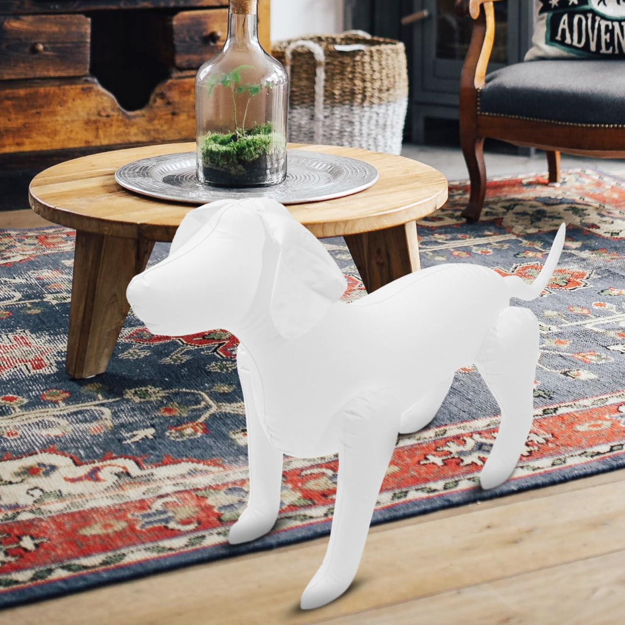iplusmile Mannequin gonflable pour chien: Chien gonflable en PVC pour l'affichage de vêtements de chien