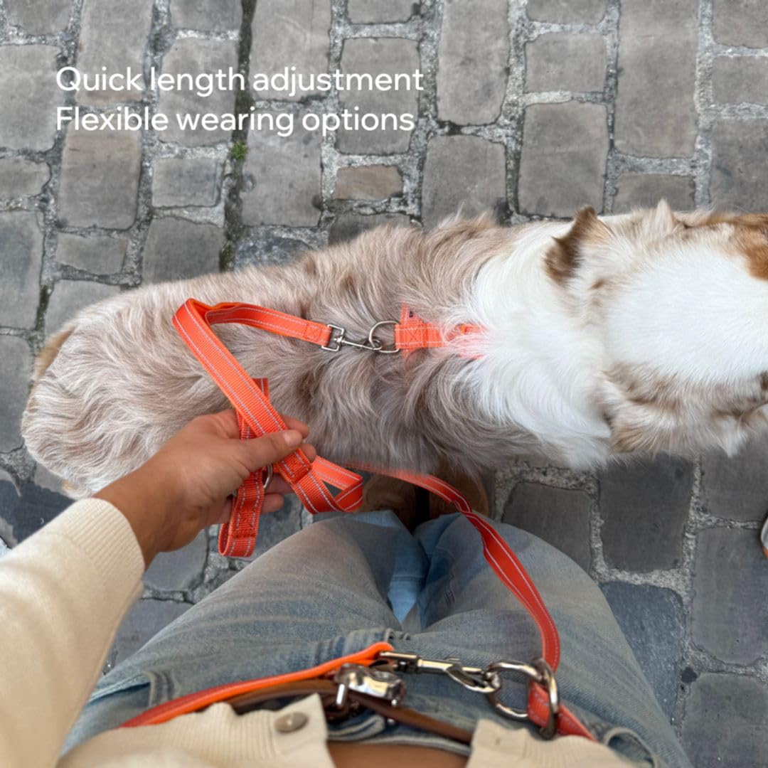 UrbanTails Multifunktionale Hundeleine 5m – Verstellbar, Handsfree, Reflektierend, 2 Gepolsterte Griffe, Trainingsleine für Kleine & Große Hunde (Orange, 5m)
