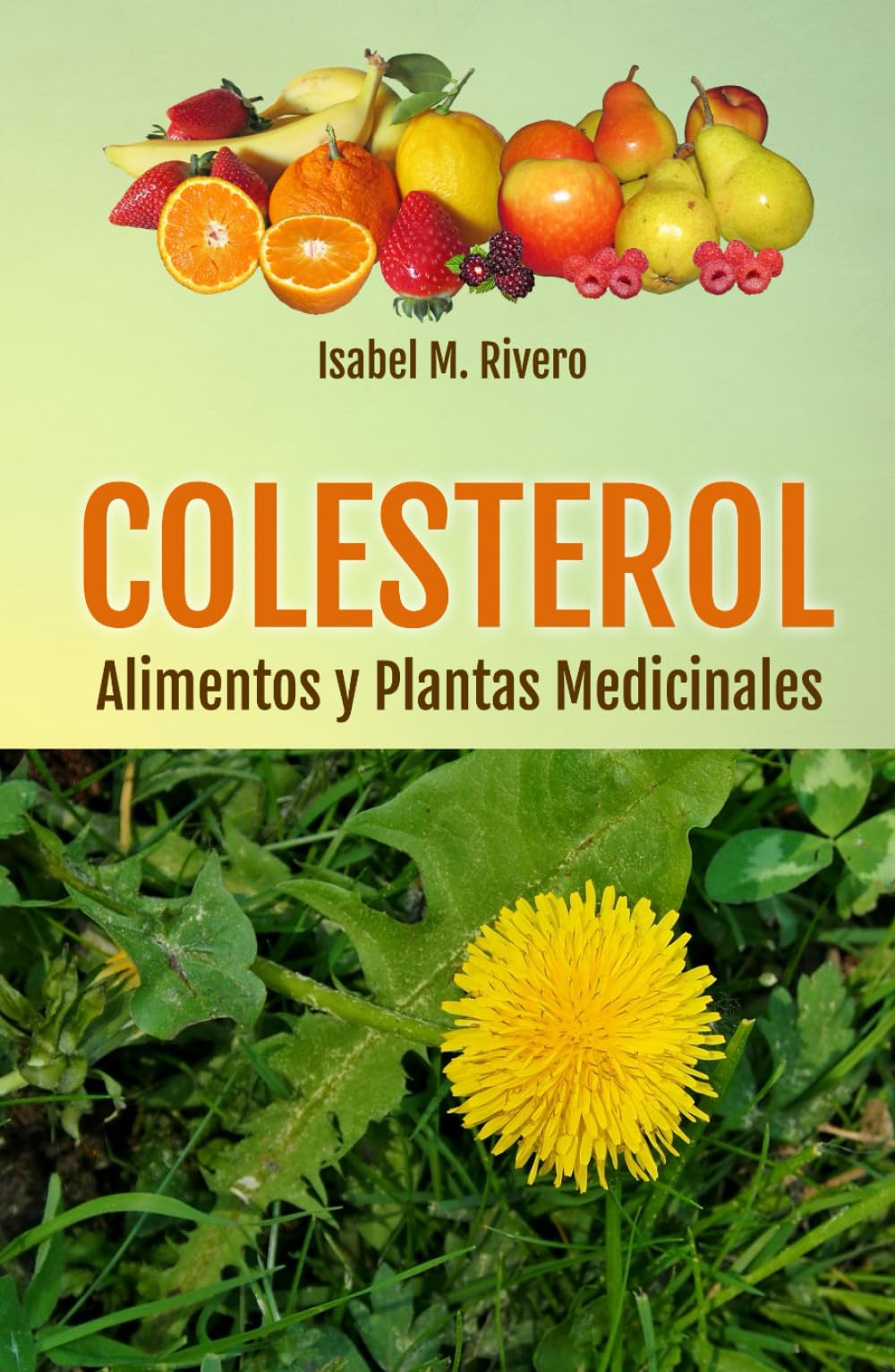 COLESTEROL. Alimentos y Plantas Medicinales: Consejos, Remedios Complementarios y Terapias Naturales.