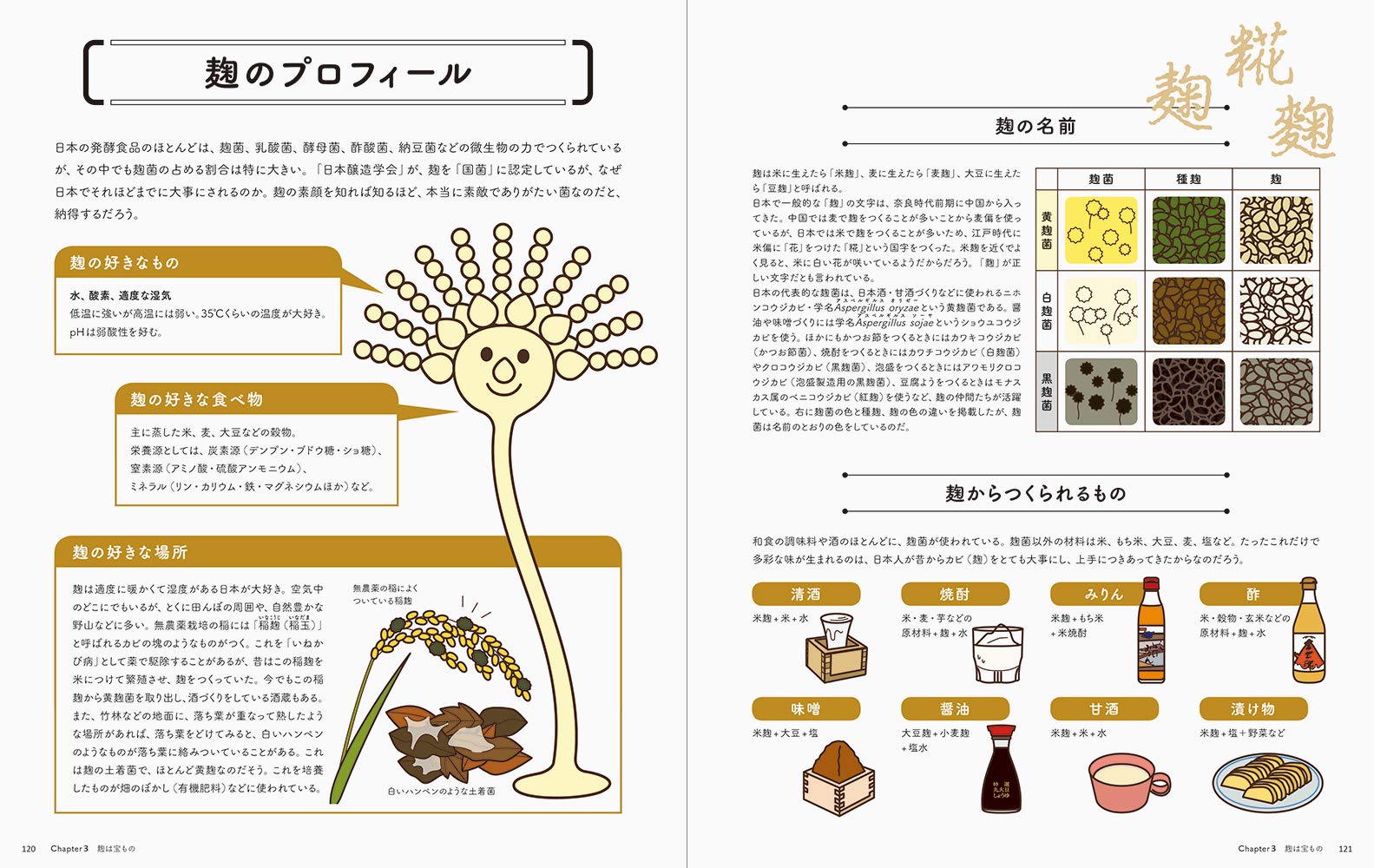 発酵はおいしい イラストで読む世界の発酵食品 Ferment Books おのみさ 配送料無料
