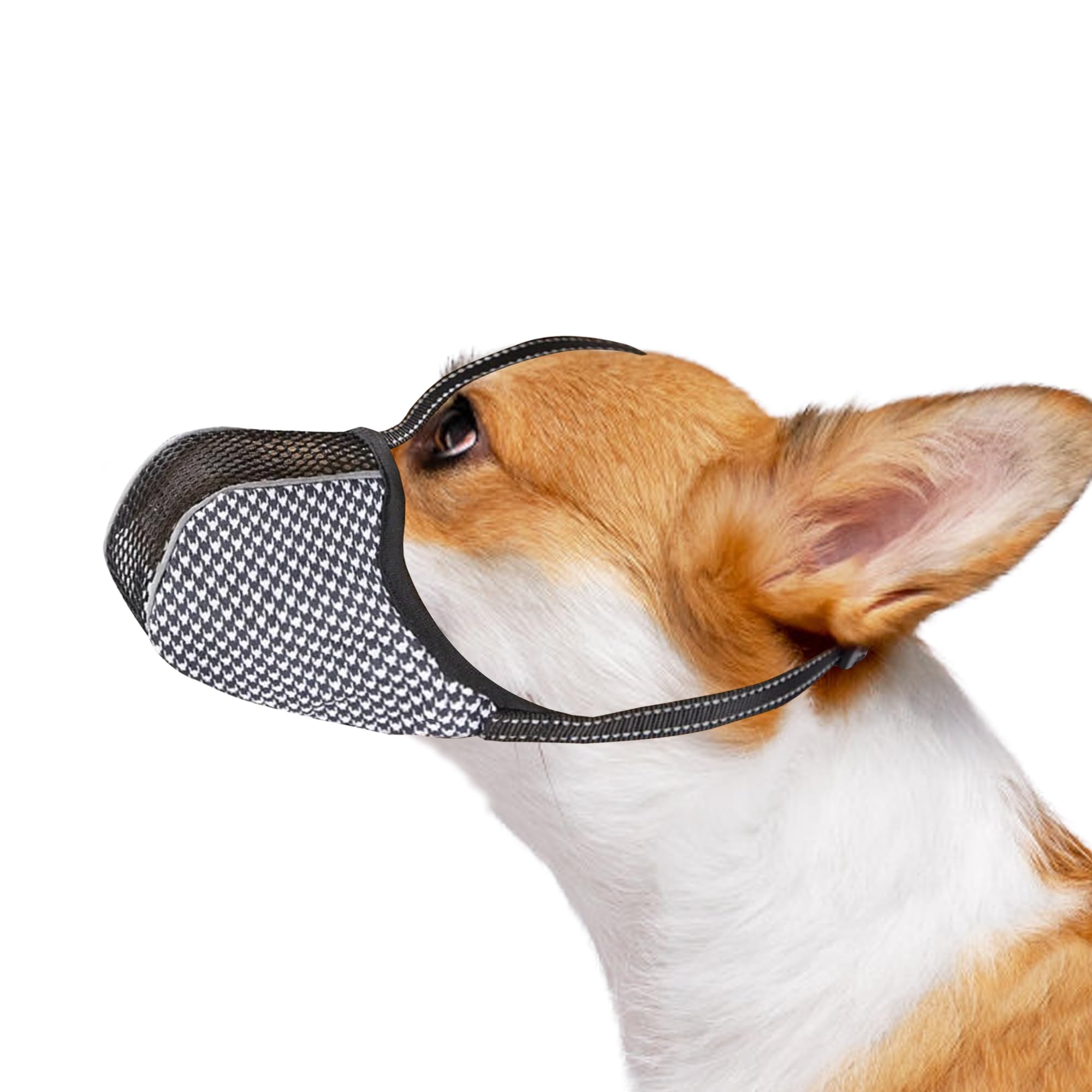 Photo 1 of JOYPAWS Dog Basket Muzzle Prevent Biting Chewing Barking for Small Dogs