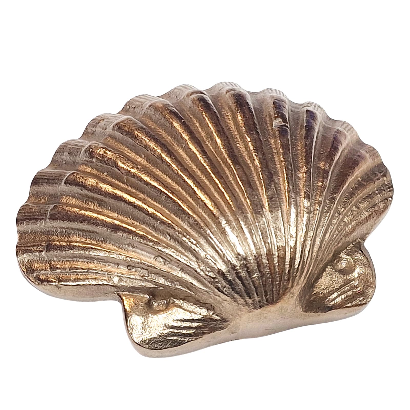 Herzmensch Concha de vieira dorada de bronce macizo, 11 x 9 cm, decoración marítima, regalo para el Camino de Santiago para cumpleaños o comunión boda