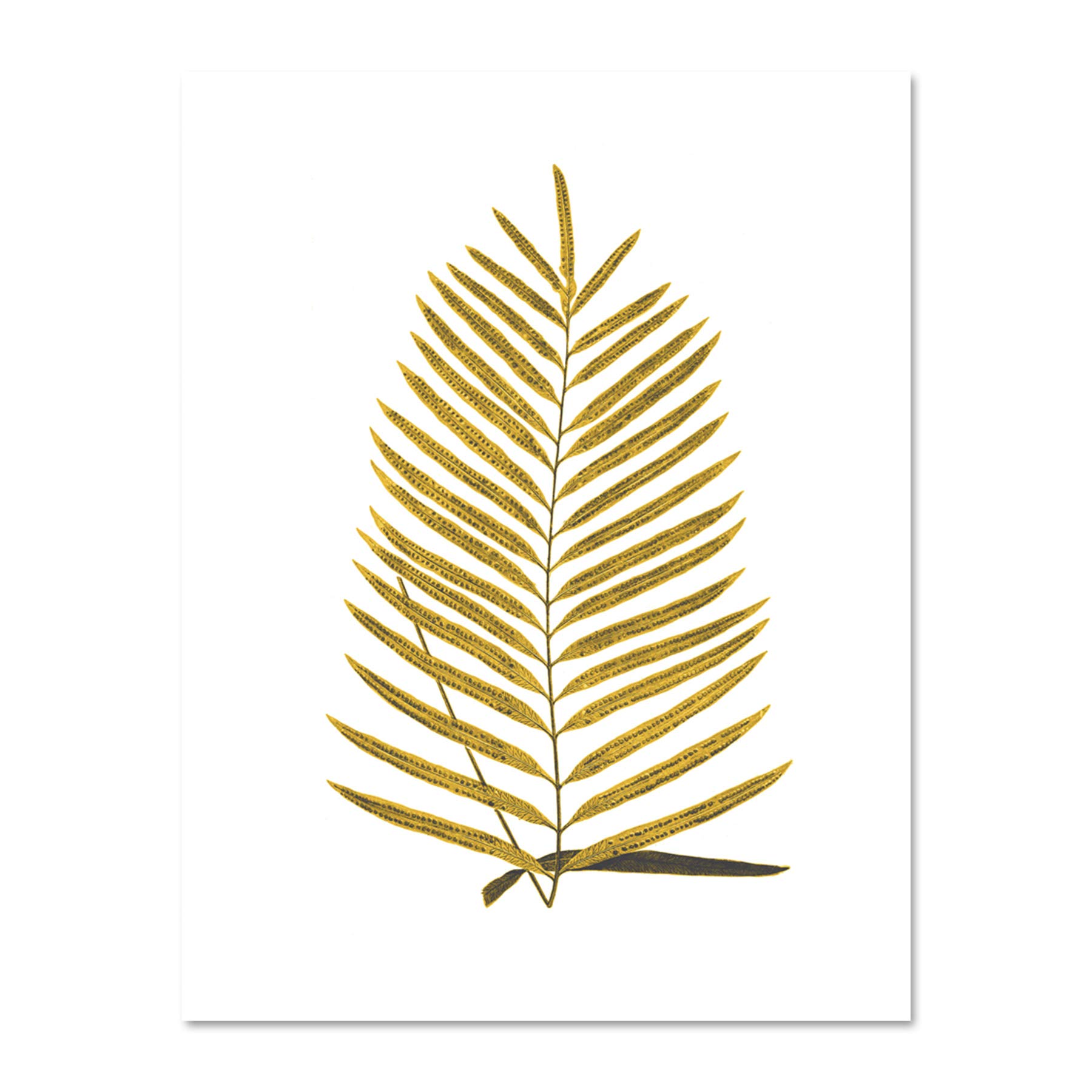 Wee Blue Coo Botanics Gold And Grey Fern Large White Framed Art Print Wall Poster 18x24 inch