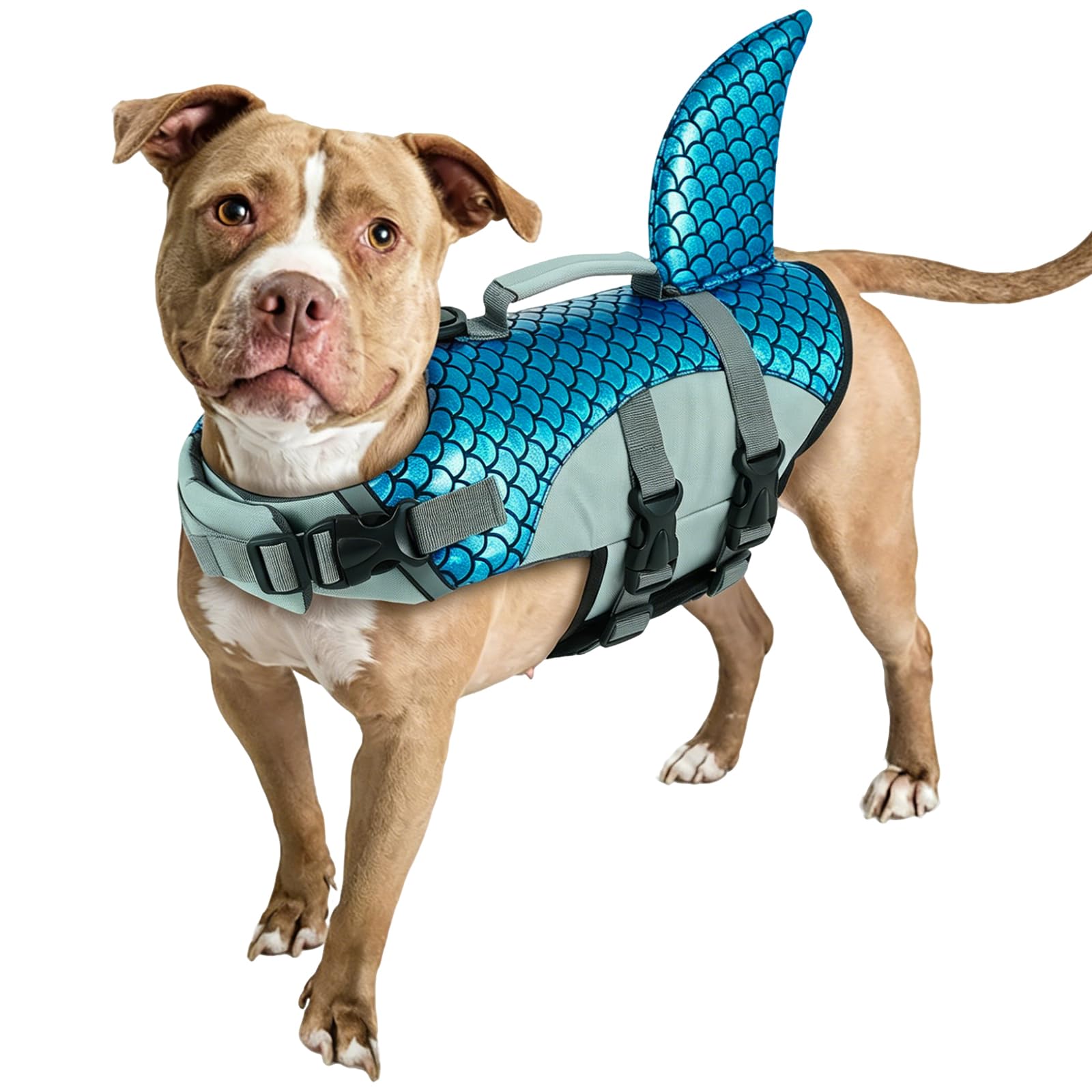 Gilet De Sauvetage Chien Requin, Bouée pour Chien Gilet De Flottaison Dog Life Jacket Gilet-Securité Chiot pour La Navigation De Plaisance, Aidez-Le À Flotter Et À Apprendre À Nager(Bleu, S)