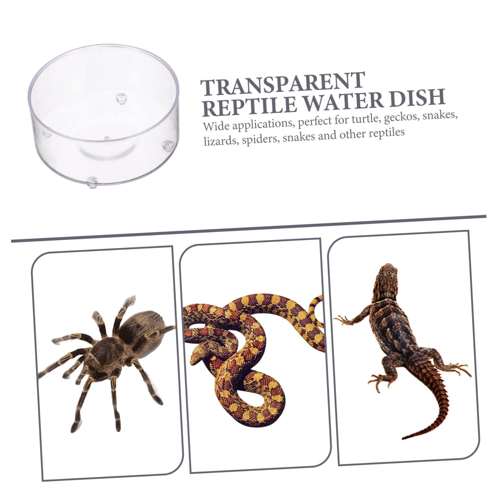 BESPORTBLE 150piezas Tazones Multifuncionales para Reptiles De Comida y Agua para Tortugas Geckos Serpientes y Accesorios para Terrarios para Pequeñas