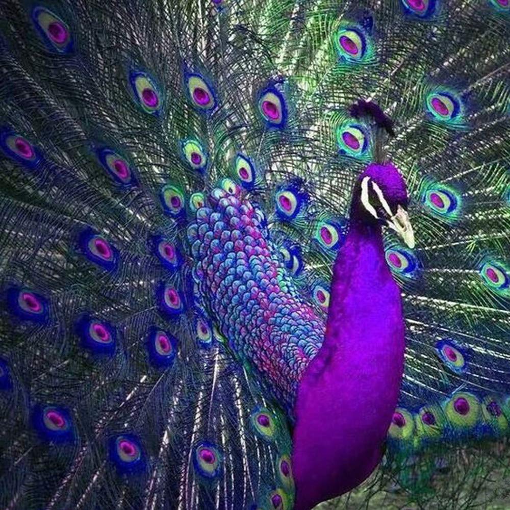 Beaded Hummingbird Pattern FREE PATTERNS