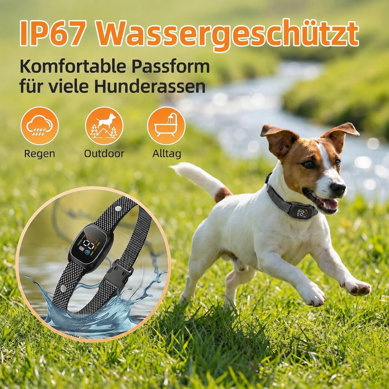 Verstellbares Hundehalsband für Alltag und Outdoor - Leichtes, wasserbeständiges Hundezubehör für Spaziergänge, Garten und Reisen, geeignet für kleine und mittelgroße Hunde (Schwarz) XGQ-002