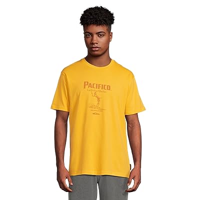 Quiksilver Pacifico Baja Arch Short Sleeve Screen T Shirts Men