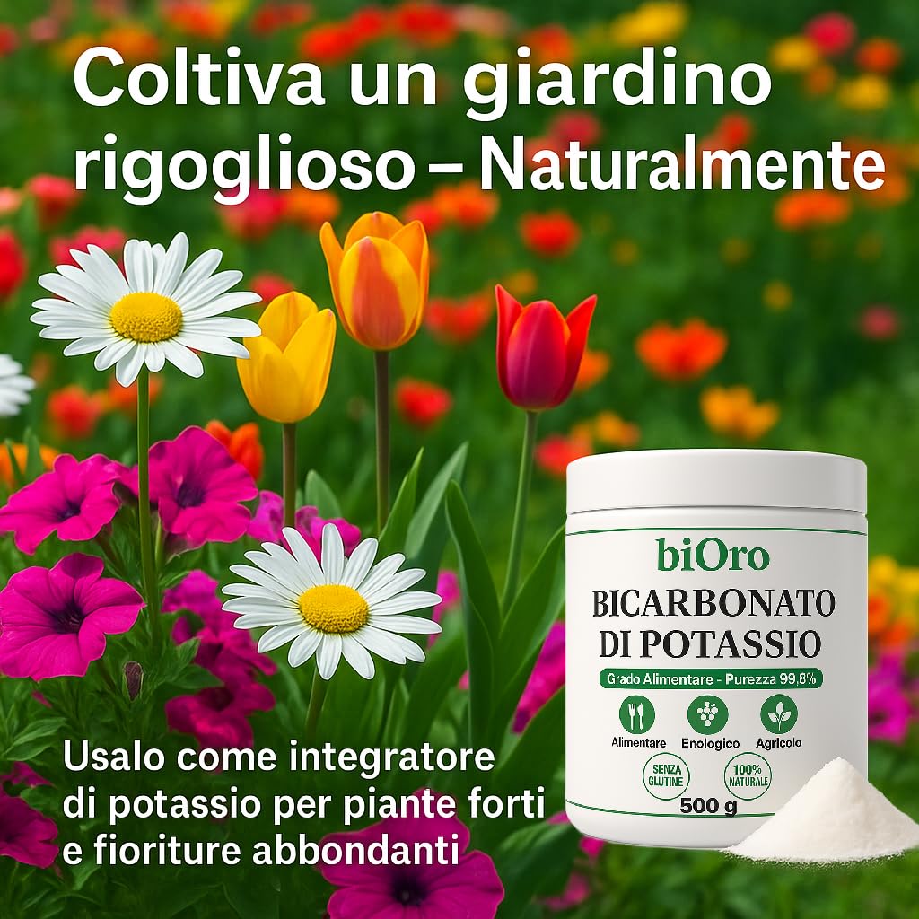 BICARBONATO DI POTASSIO Alimentare biOro 99,8% – 500g – Regolatore Acidità, Antifungino Naturale, Uso Enologico e Agricolo – Grado Alimentare Qualità Premium – Senza Glutine
