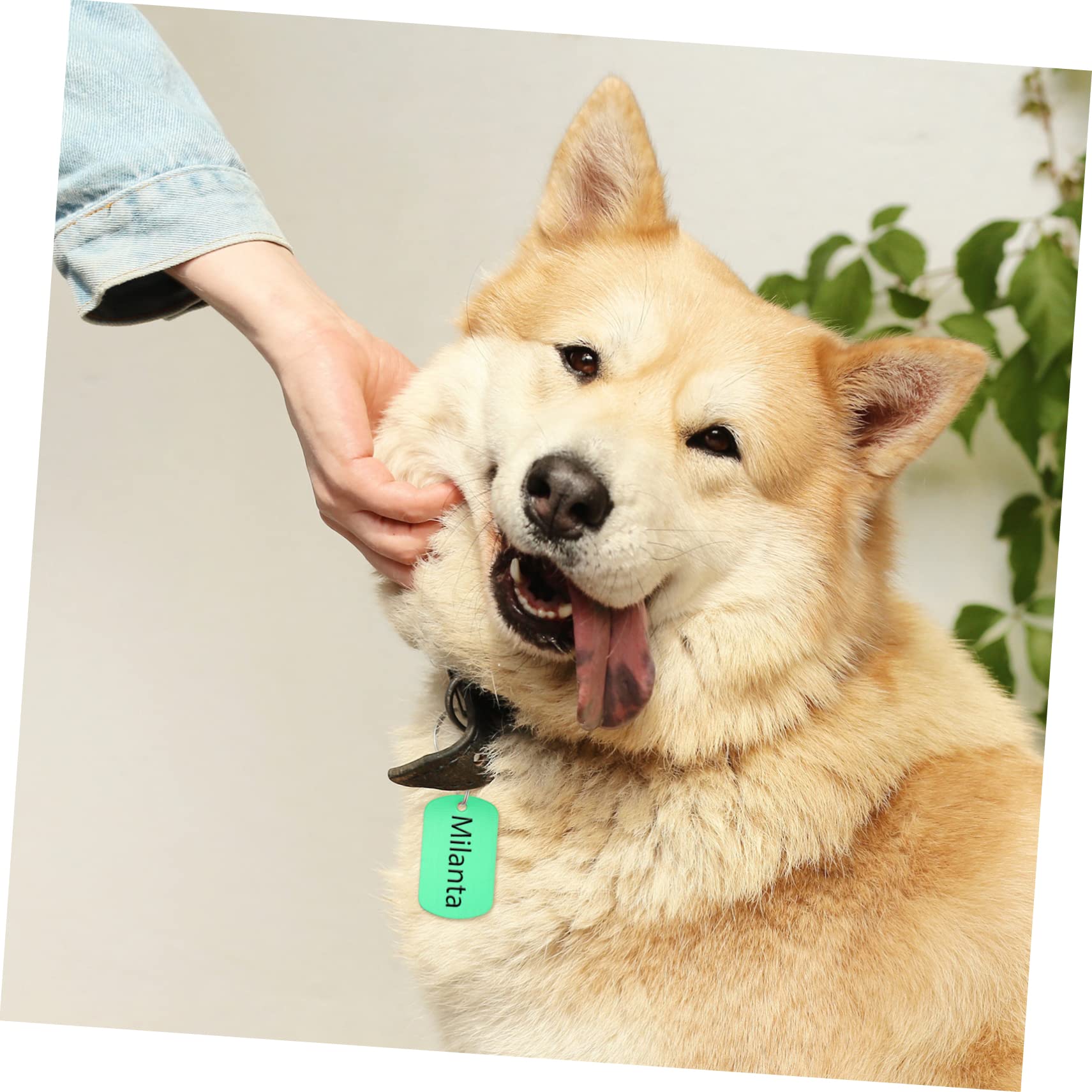 Happyyami 120pezzi Medagliette Per Animali Domestici Tag Identificativi Personalizzabili Per Cani Gatti e Piccoli Animali Per Fai Da Te