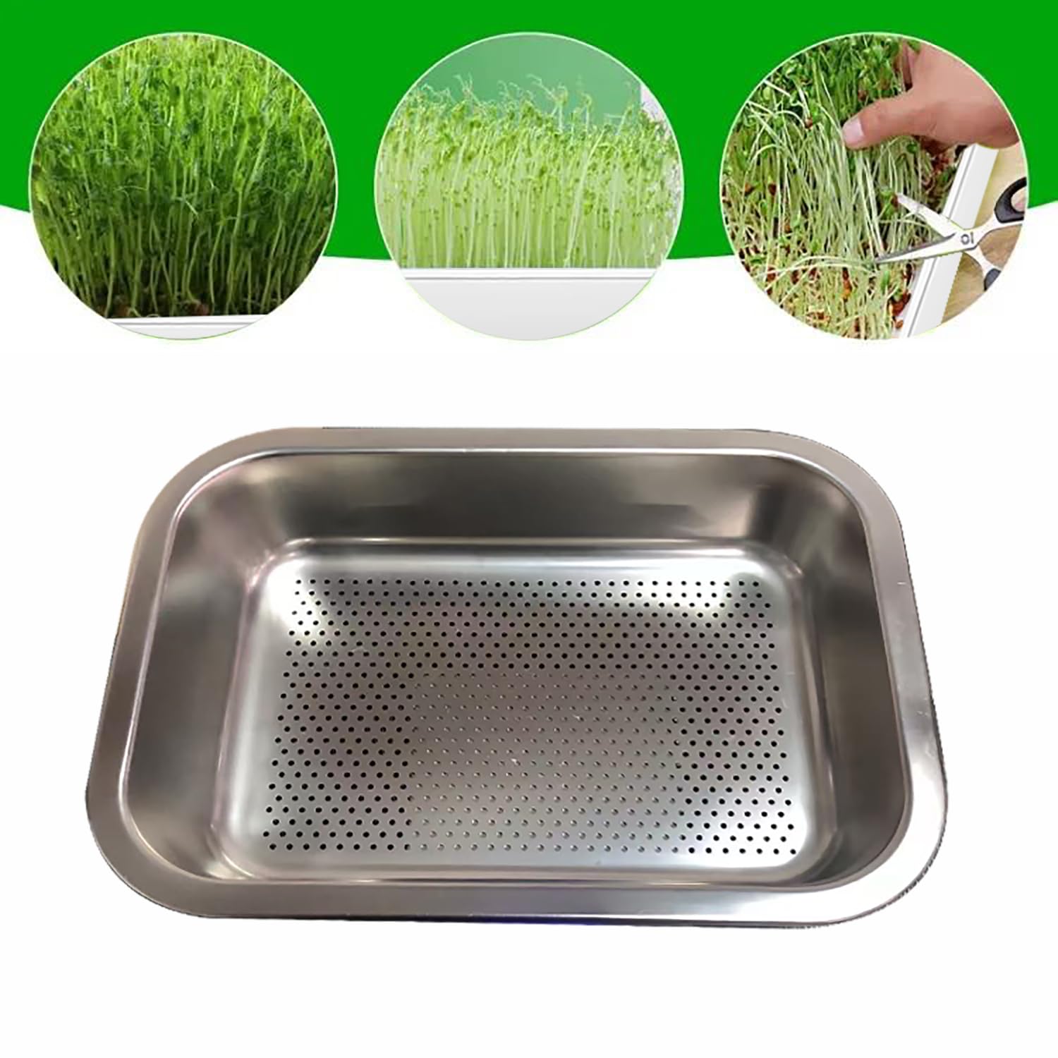 Kit di 2 Vassoi Germogliatore,Ciotola 2 in 1 con Doppia Dimensione, Acciaio Inox, Lavabile in Lavastoviglie,per Coltivare Erba di Grano Sana, Kit per Piantine di Piante da Interno