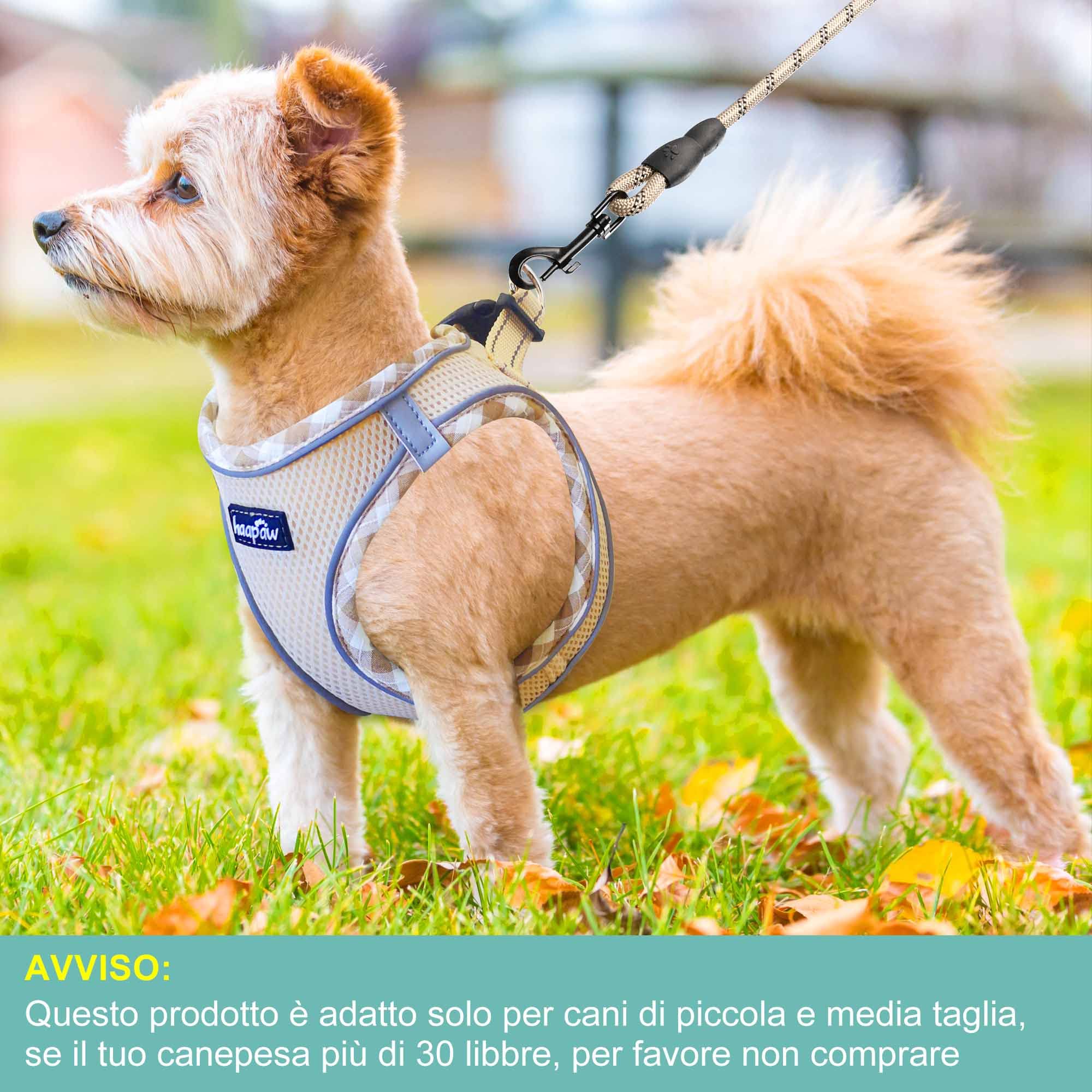 haapaw Pettorina per cani e guinzaglio, senza tirare, regolabile, riflettente Step-in, pettorina imbottita ispessita, per cani extra piccoli/piccoli e medi