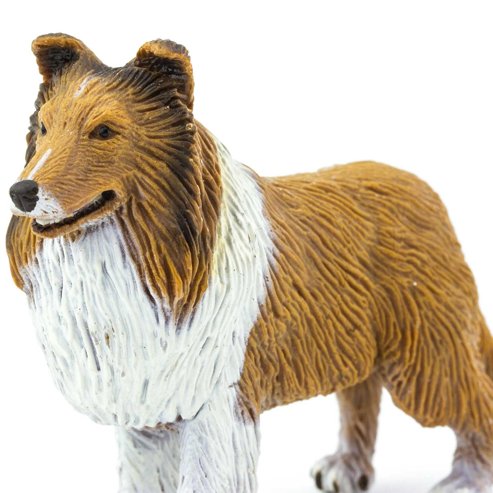 Amazon.com: Safari Ltd. Collie Figurine - Lifelike 4 Amazon.com: Safari Ltd. Collie Figurine - Lifelike 4