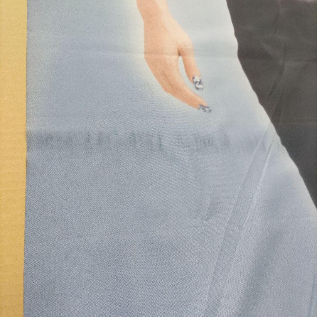 Amazon.co.jp: 浜崎あゆみ タペストリー ホンダ ジョルノクレア