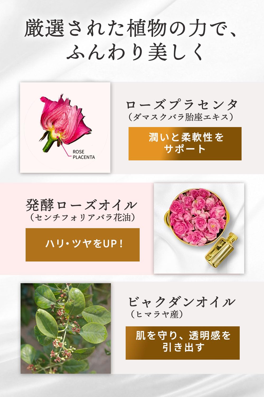 Amazon.co.jp: The LADY. ヴェルサイユローズ発酵 デリケートゾーン