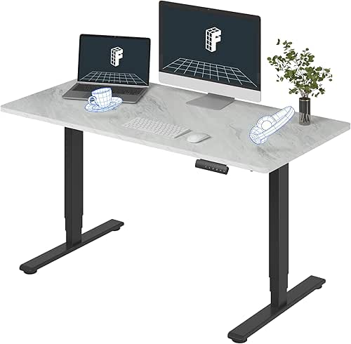 FLEXISPOT E6 3-Stage Dual Motor Electric Standing Desk 55 x