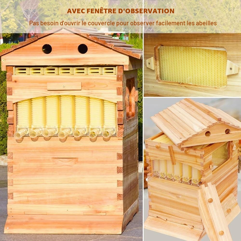 Beehive Kit de ruche automatique en bois avec 7 nids d'abeilles et cadre de qualité alimentaire sans BPA pour débutants et apiculteurs professionnels