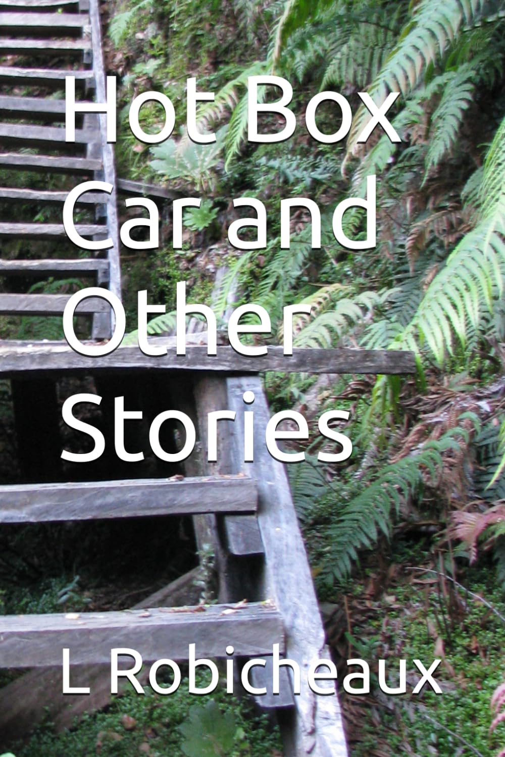 Hot Box Car and Other Stories