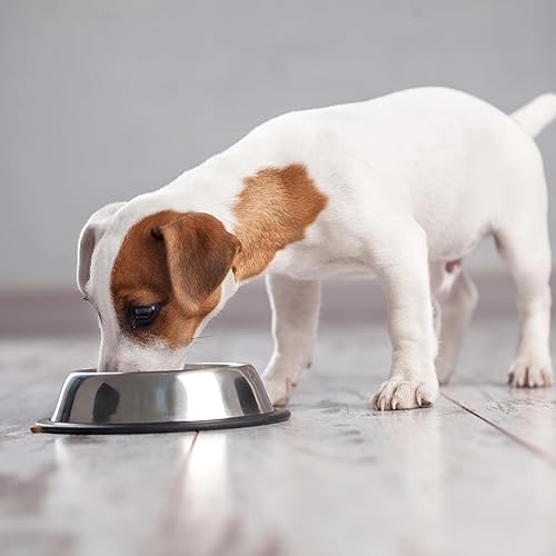 Miniatura 10 de SPOT by Ethical Products - Cuenco para mascotas sin punta para gatos, perros pequeños, perros grandes, clásico, duradero, antideslizante, plato para