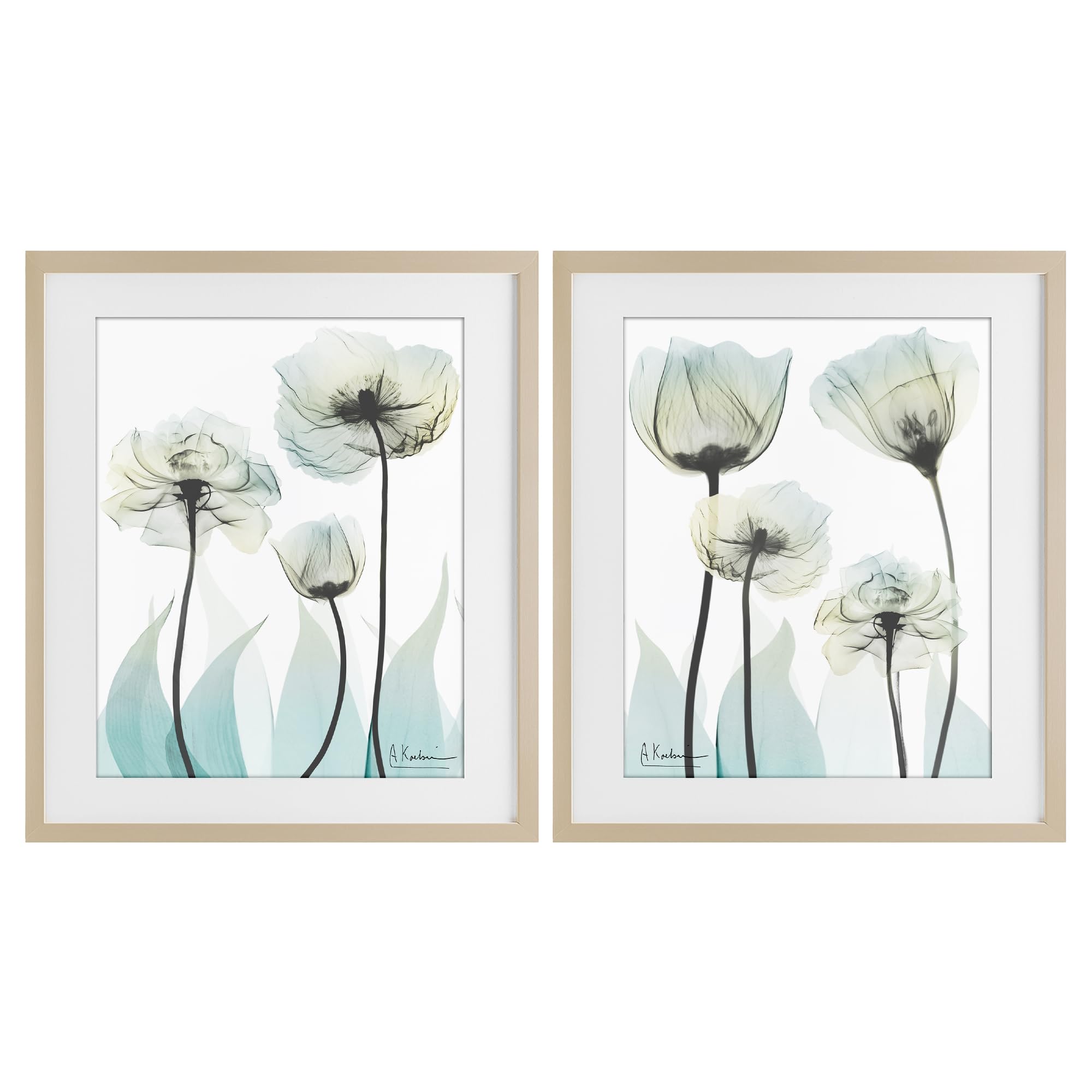 Stupell Industries 'Luxury Of Creation Flowers', 2pc Framed Print Under Glass Set, Brown, 13 x 16 Inches, Easy to Hang and Sturdy, Made in USA, by Albert Koetsier