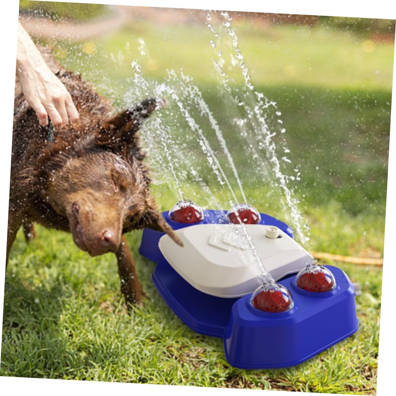 Toddmomy Water Spray Toy for Dogs Large Pet Water Fountain Dog Sprinkler Puppy Fountain Exercise Plaything Non-Fading