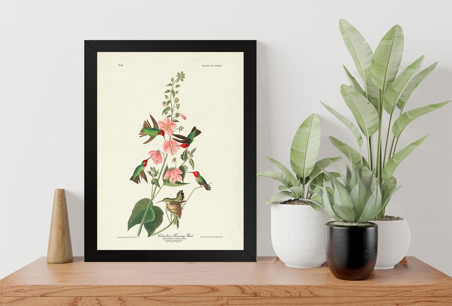 GADGETS WRAP Printed Photo Frame Matte Painting for Home Office Studio Living Room Decoration (9x11inch Black Framed) - Columbian Hummingbird