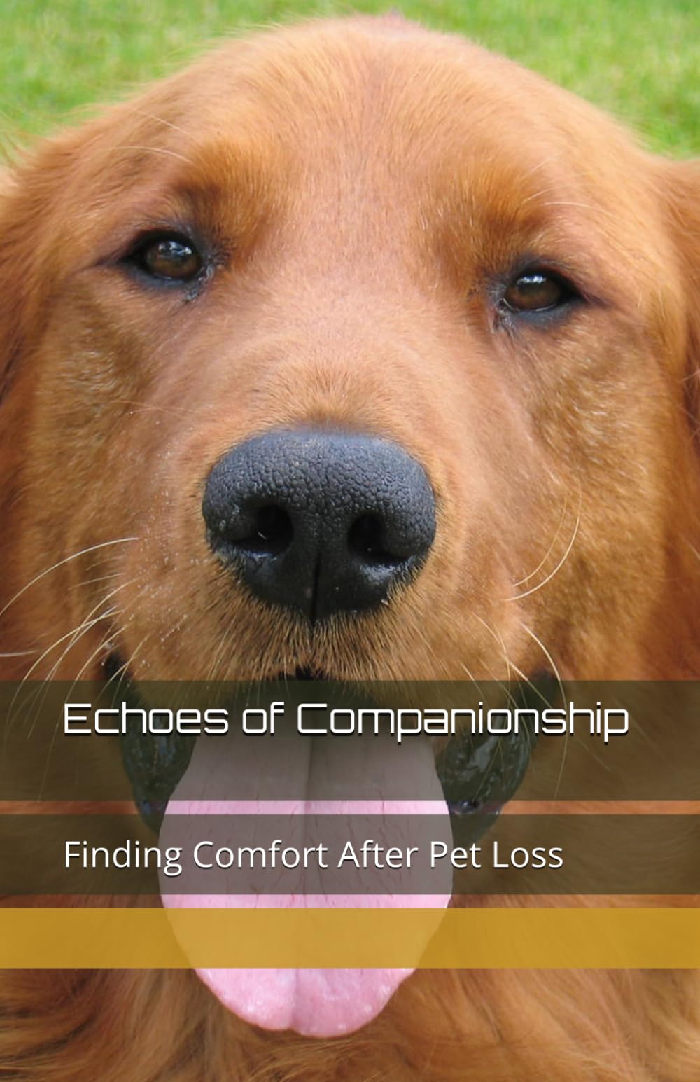 Echoes of Companionship: Finding Comfort After Pet Loss