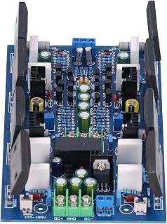 YJ00180 Power Amplifier Board, 2 Channel Power Amplifier Board with High Resistor for Home Outdoor Worker