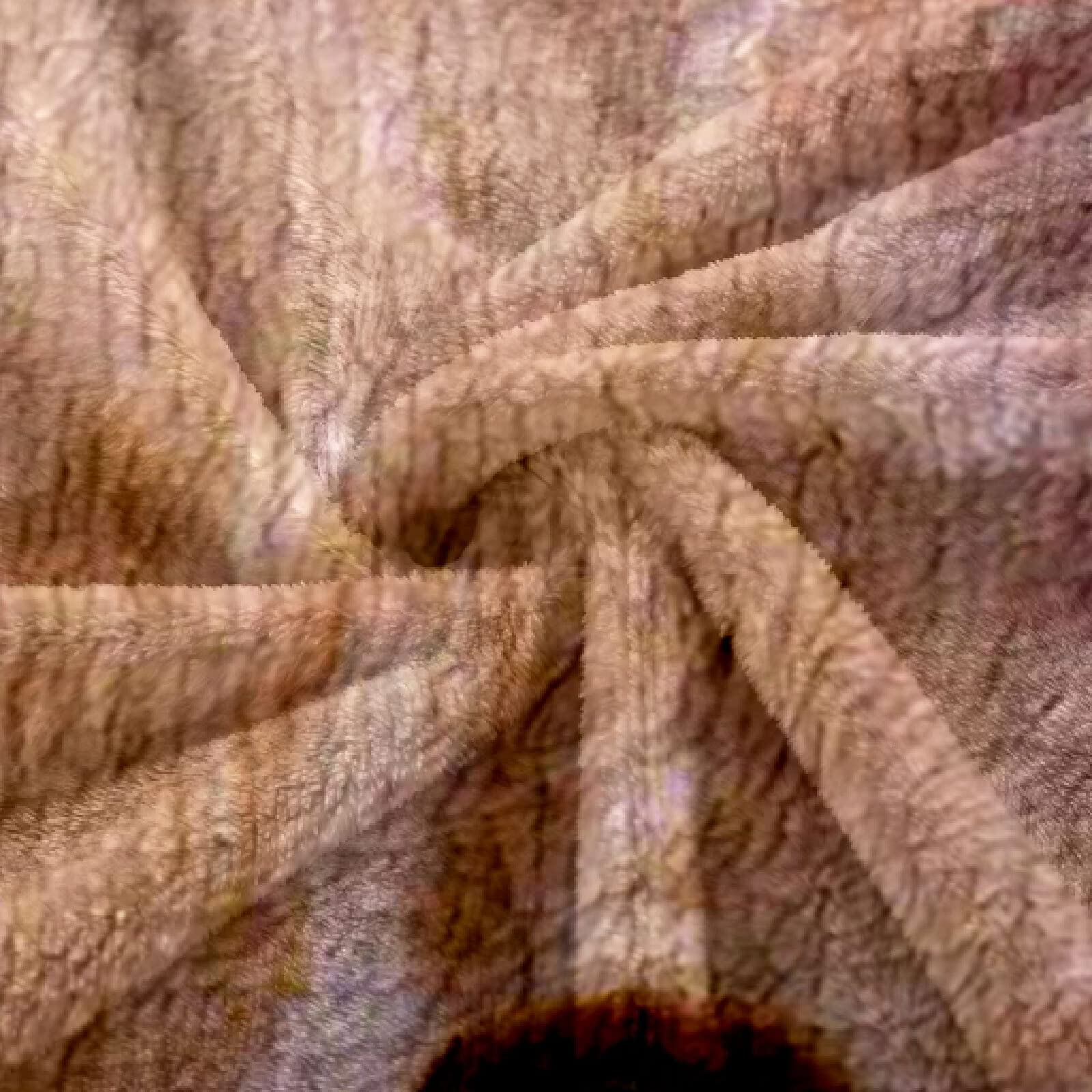 XADITON Couverture Plaid Canape 180X220Cm Impression De Chat Animal Imprimée Motif, Couverture en Flanelle Épaisse Douce Et Confortable, Couverture Lit 2 Personnes Chaude pour Adulte Et Enfant