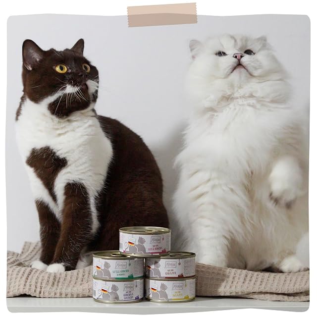 Foto 6 de 6 de MjAMjAM - Comida húmeda Premium para Gatos - Quetschie