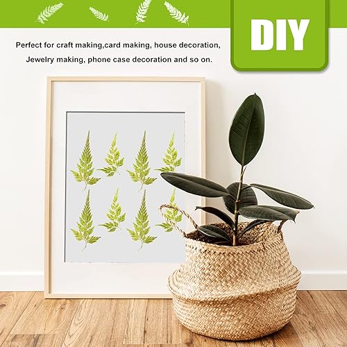 Miniatura 6 de ALJ Real Dried Ferns Leaves, 42PCS Natural Yellow Pressed Ferns Leaves Plant Pressed Leaf for Resin Art DIY Craft Embellishment Decors, Craft