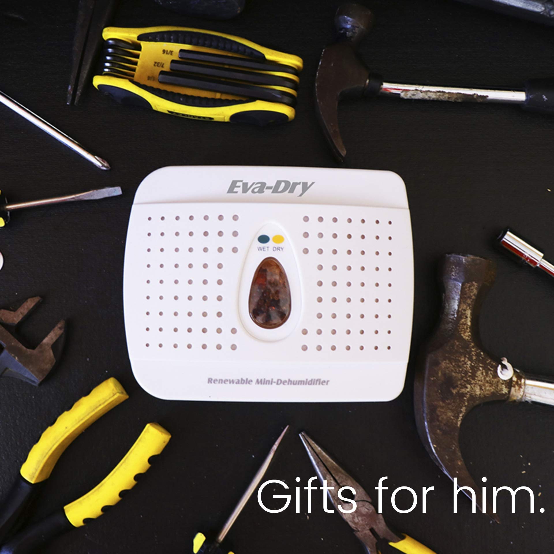 EvaDry Wireless Mini Dehumidifier, White (E333) B000H0XFCS